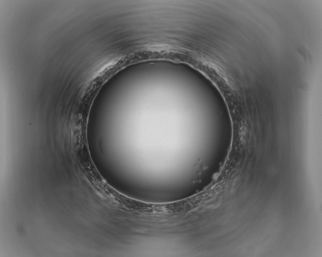 X0000111840968200907301047