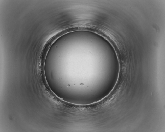 X0000111840971200907301047