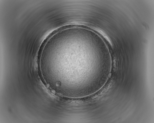 X0000111840972200907301047