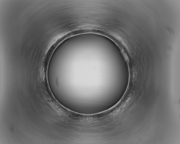 X0000111840973200907301047