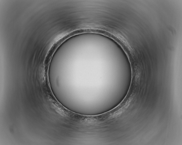 X0000111840974200907301047