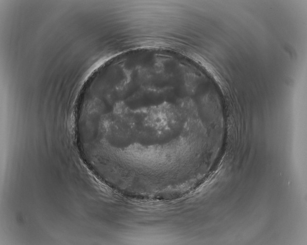 X0000111840975200907301047