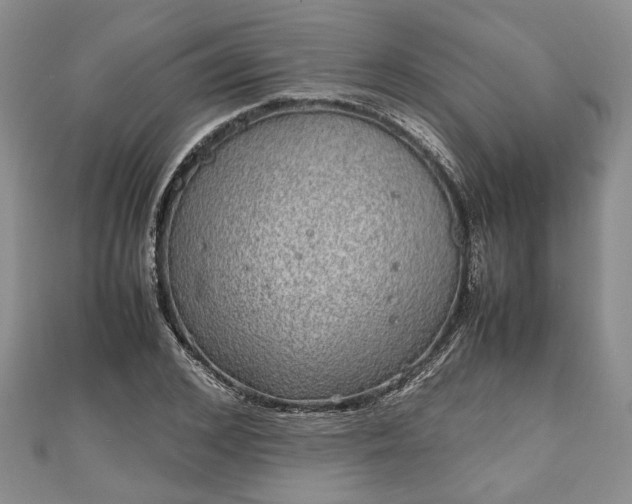 X0000111840976200907301047