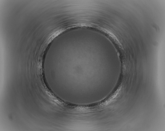 X0000111840977200907301047