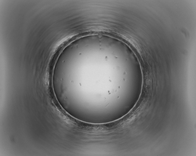 X0000111840979200907301047