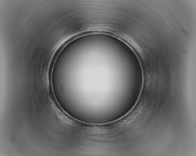 X0000111840980200907301047