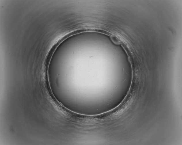 X0000111840981200907301047