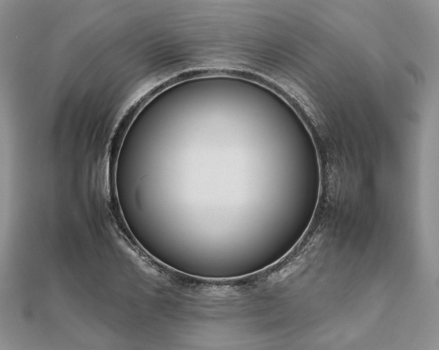 X0000111840982200907301047