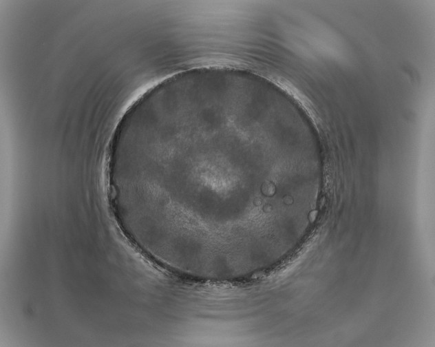 X0000111840983200907301047