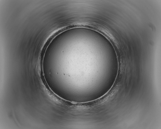 X0000111840984200907301047