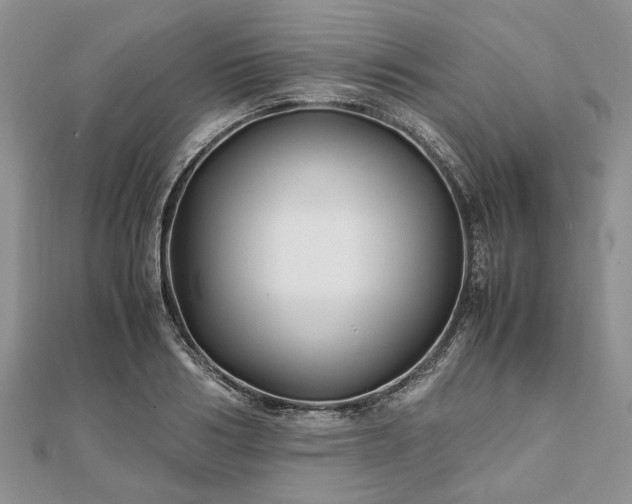 X0000111840986200907301047