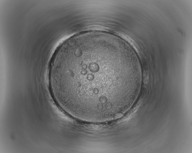 X0000111840987200907301047