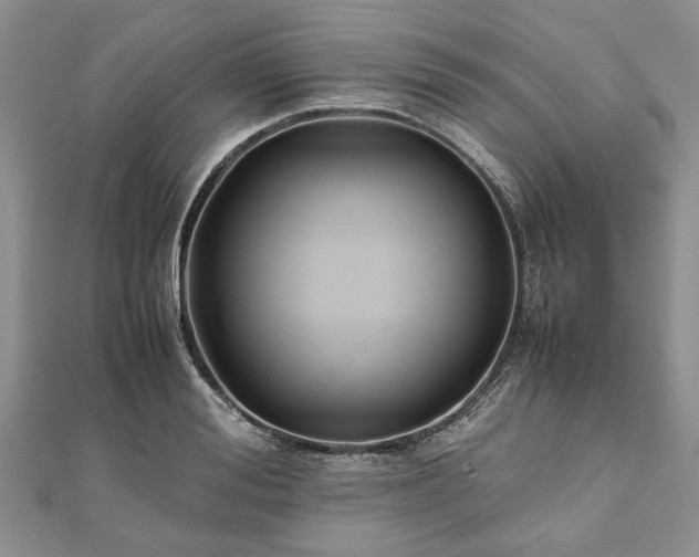 X0000111840988200907301047