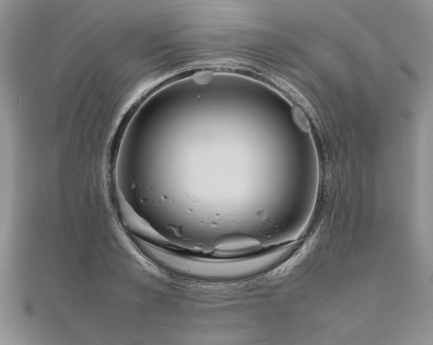 X0000111840989200907301047