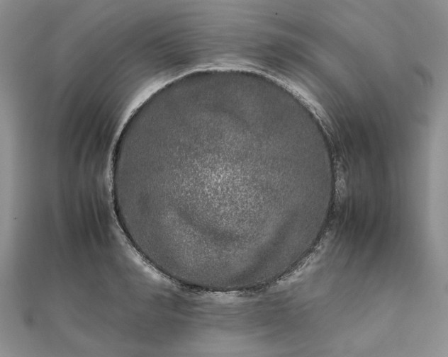 X0000111840990200907301046