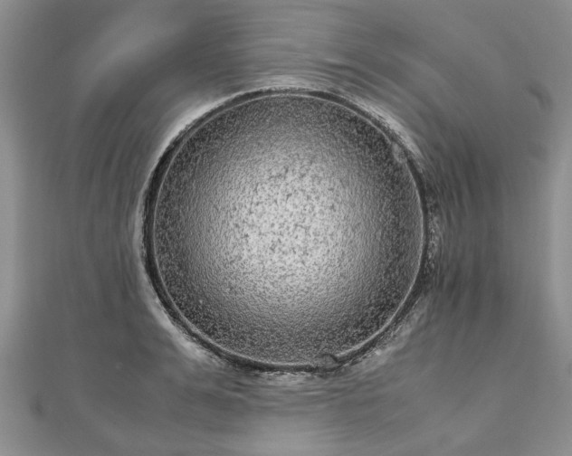 X0000111840991200907301046