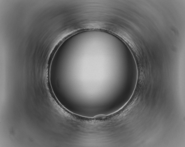 X0000111840992200907301046