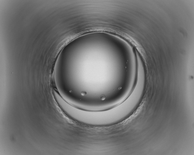 X0000111840993200907301046