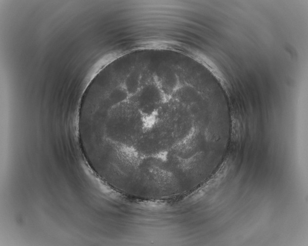 X0000111840994200907301046