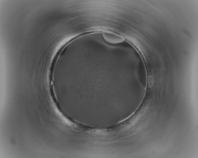 X0000111840995200907301046