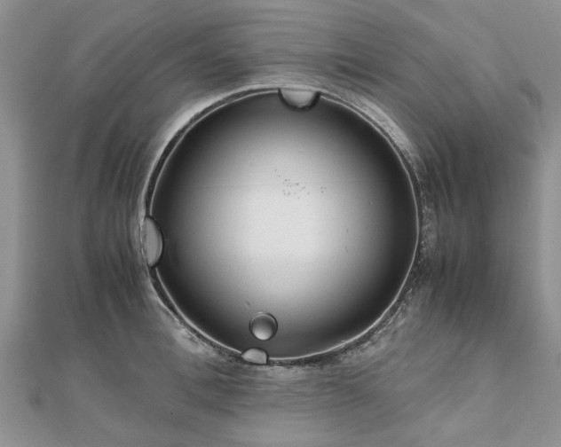 X0000111840996200907301046