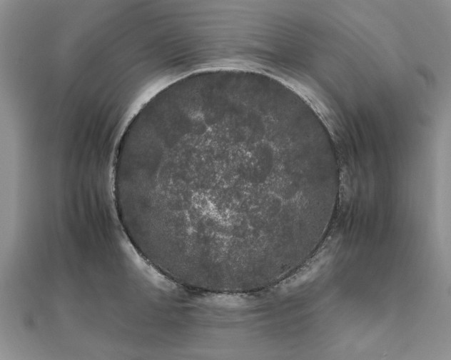 X0000111840998200907301046