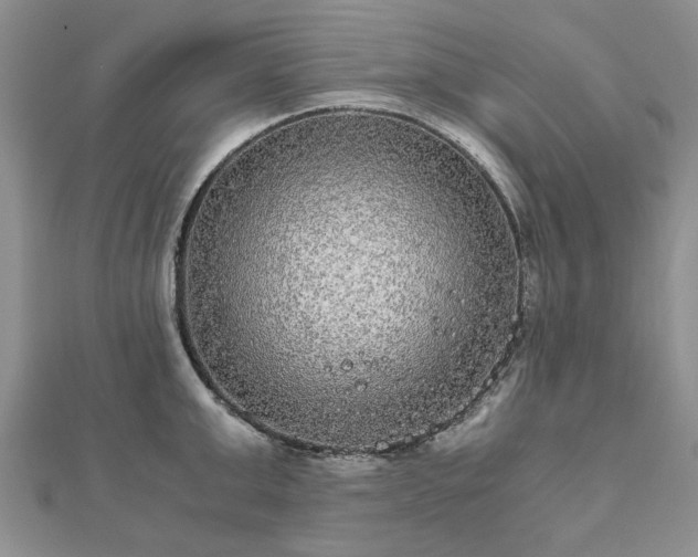 X0000111840999200907301046