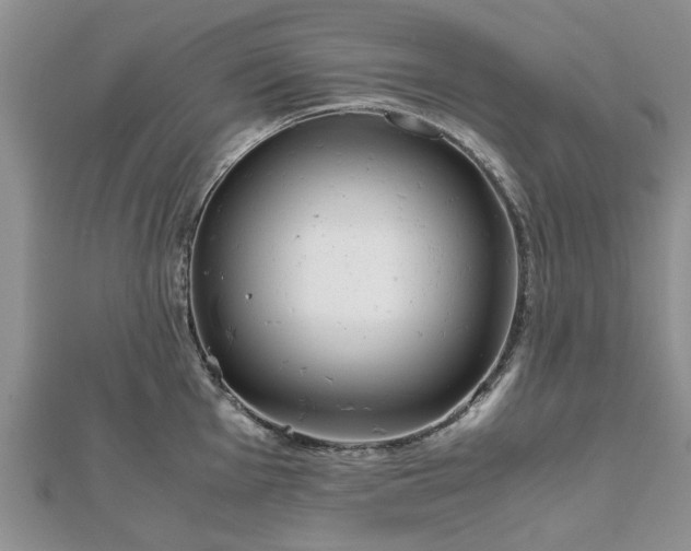 X0000111841001200907301046