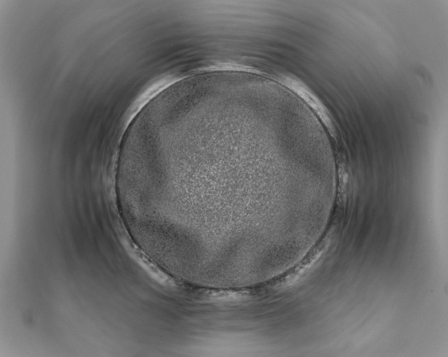 X0000111841002200907301046