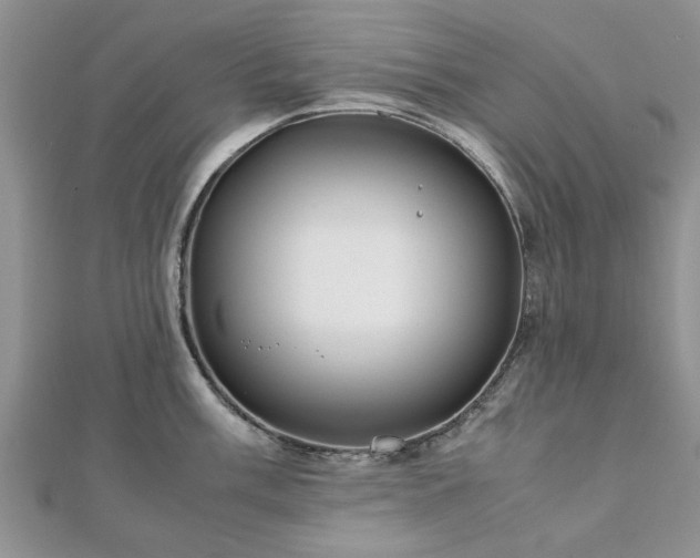 X0000111841003200907301046