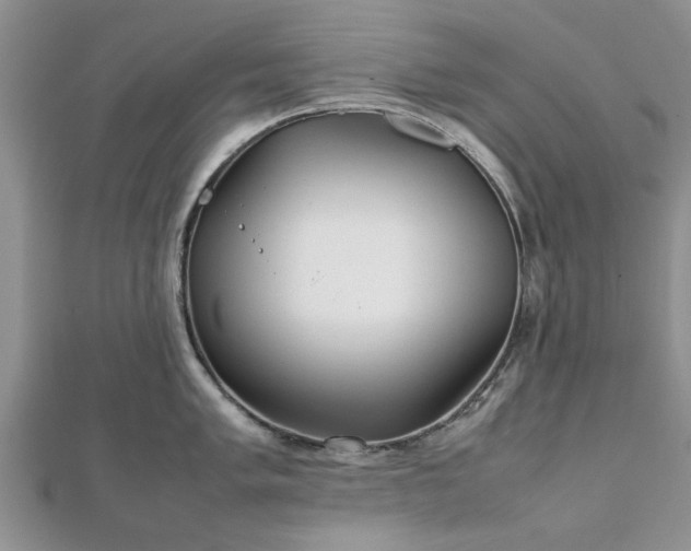 X0000111841005200907301046