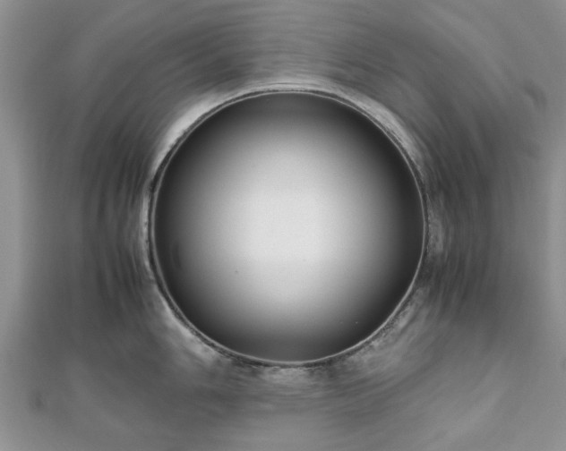 X0000111841006200907301046