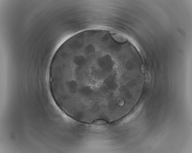 X0000111841007200907301046