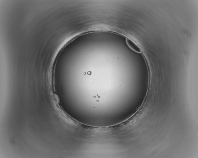 X0000111841008200907301046