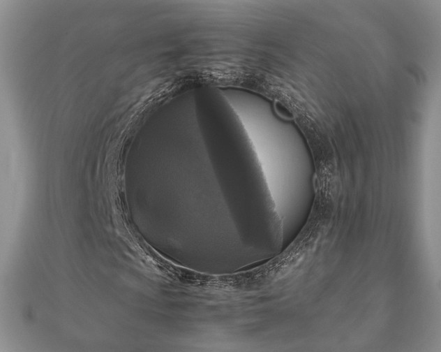 X0000111841009200907301045