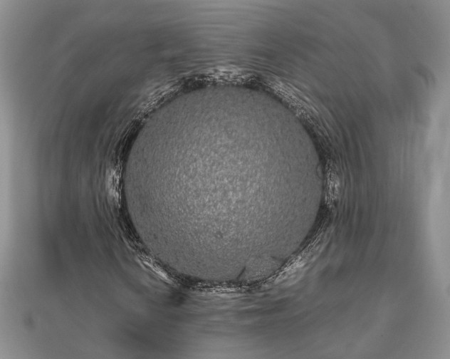 X0000111841010200907301045