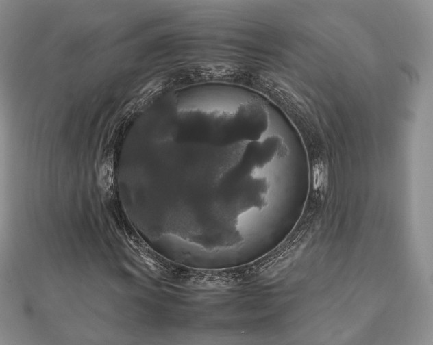 X0000111841011200907301045