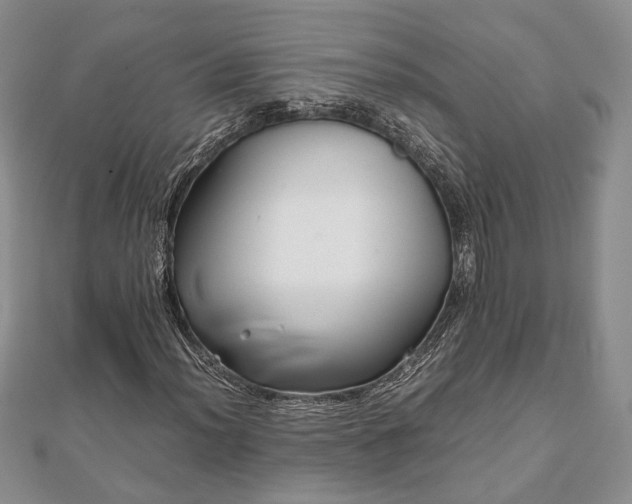 X0000111841012200907301046