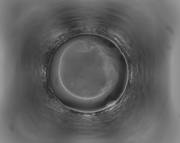 X0000111841013200907301046