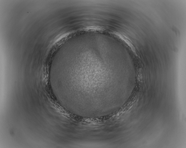 X0000111841015200907301046