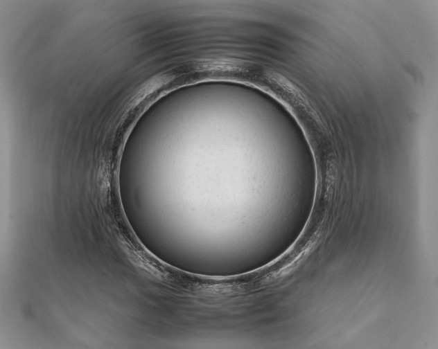 X0000111841017200907301046