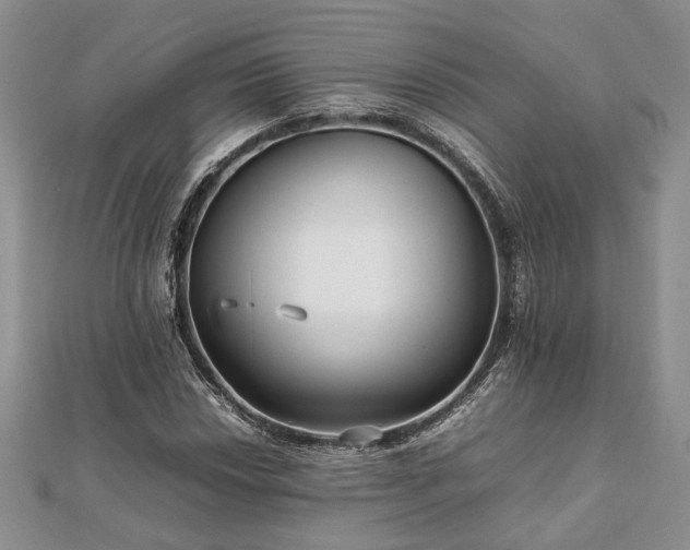 X0000111841018200907301046