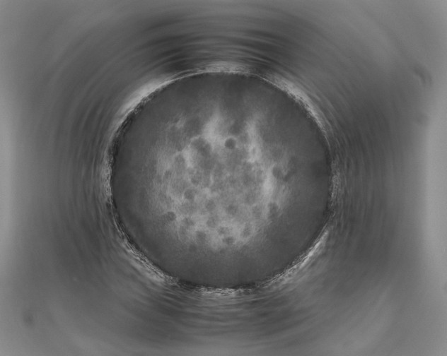 X0000111841019200907301046