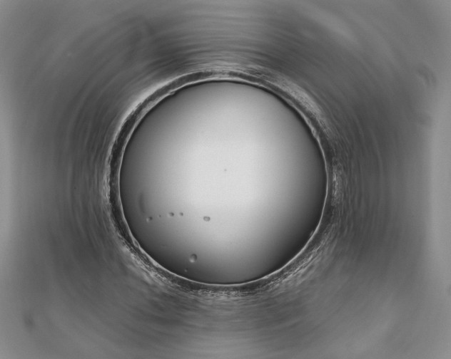 X0000111841020200907301046