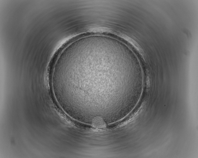 X0000111841022200907301046