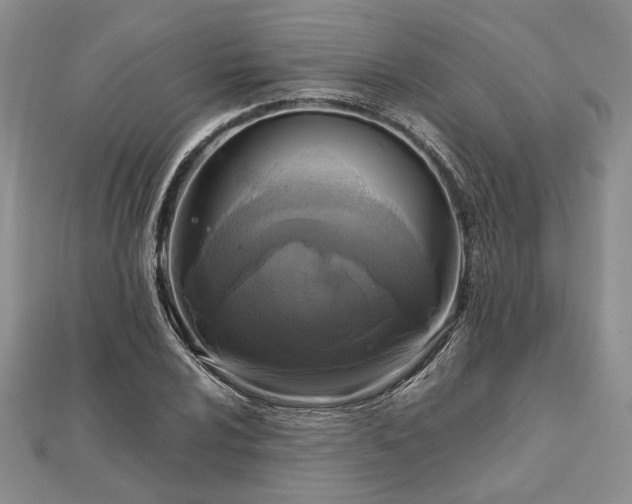 X0000111841024200907301046