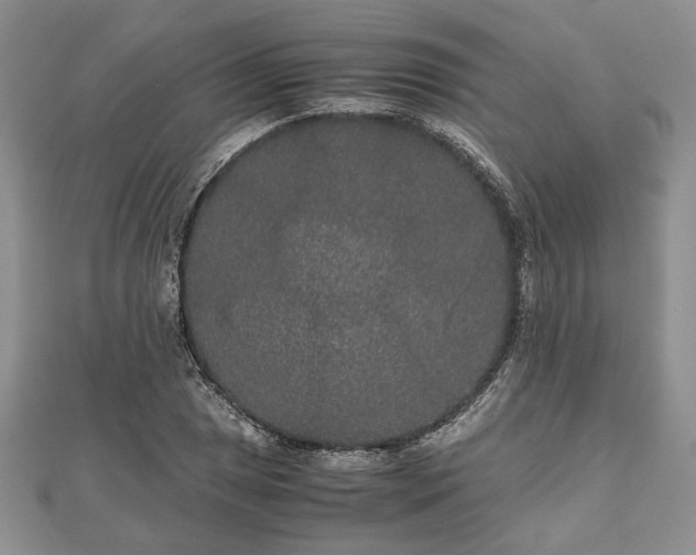 X0000111841025200907301046