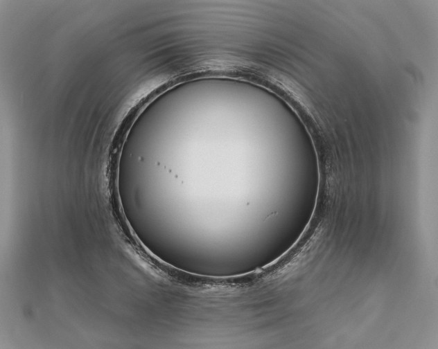 X0000111841026200907301046