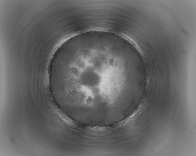 X0000111841027200907301046