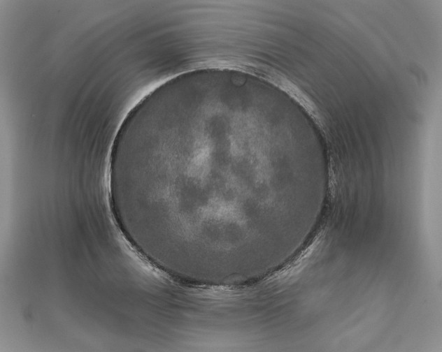 X0000111841028200907301046